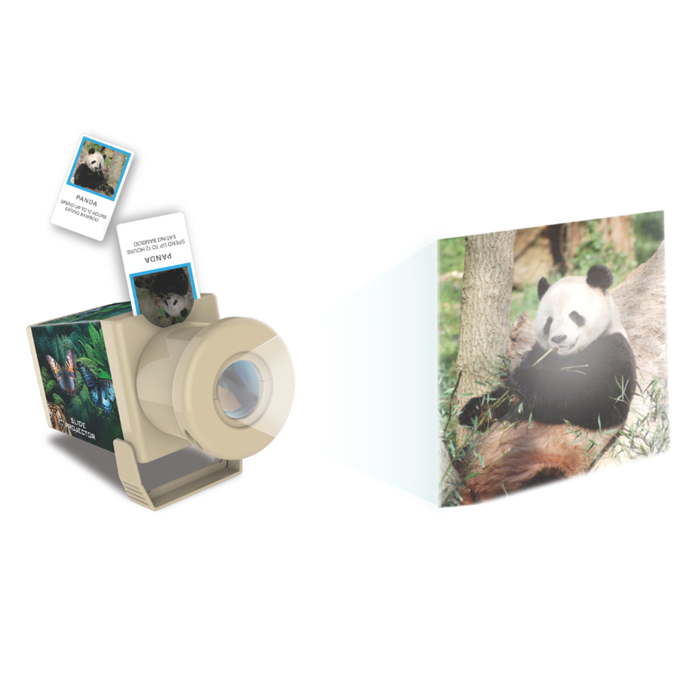 4M KidzLabs - Slide Projector - Wildlife - view 2