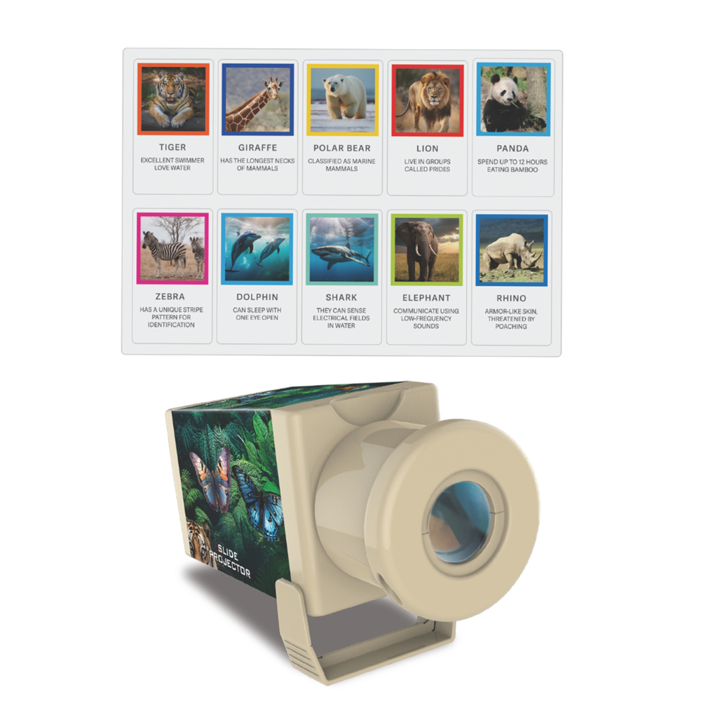 4M KidzLabs - Slide Projector - Wildlife - view 3