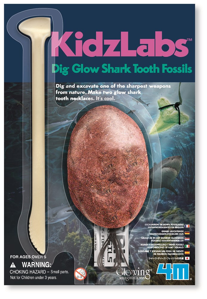 4M KidzLabs - Shark Tooth Fossil - view 4