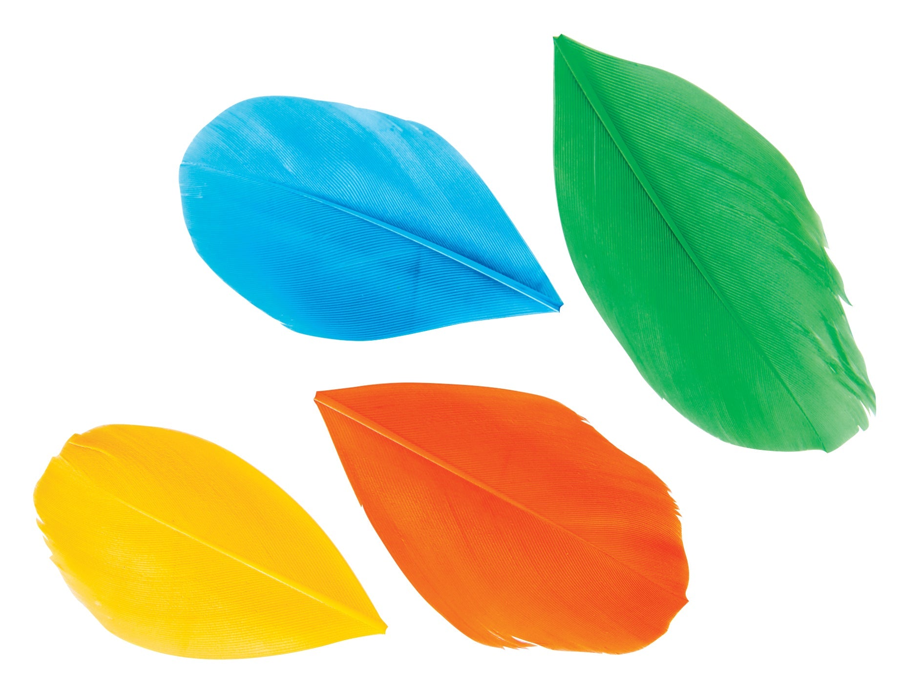 Trimmed Feathers Assorted 20g