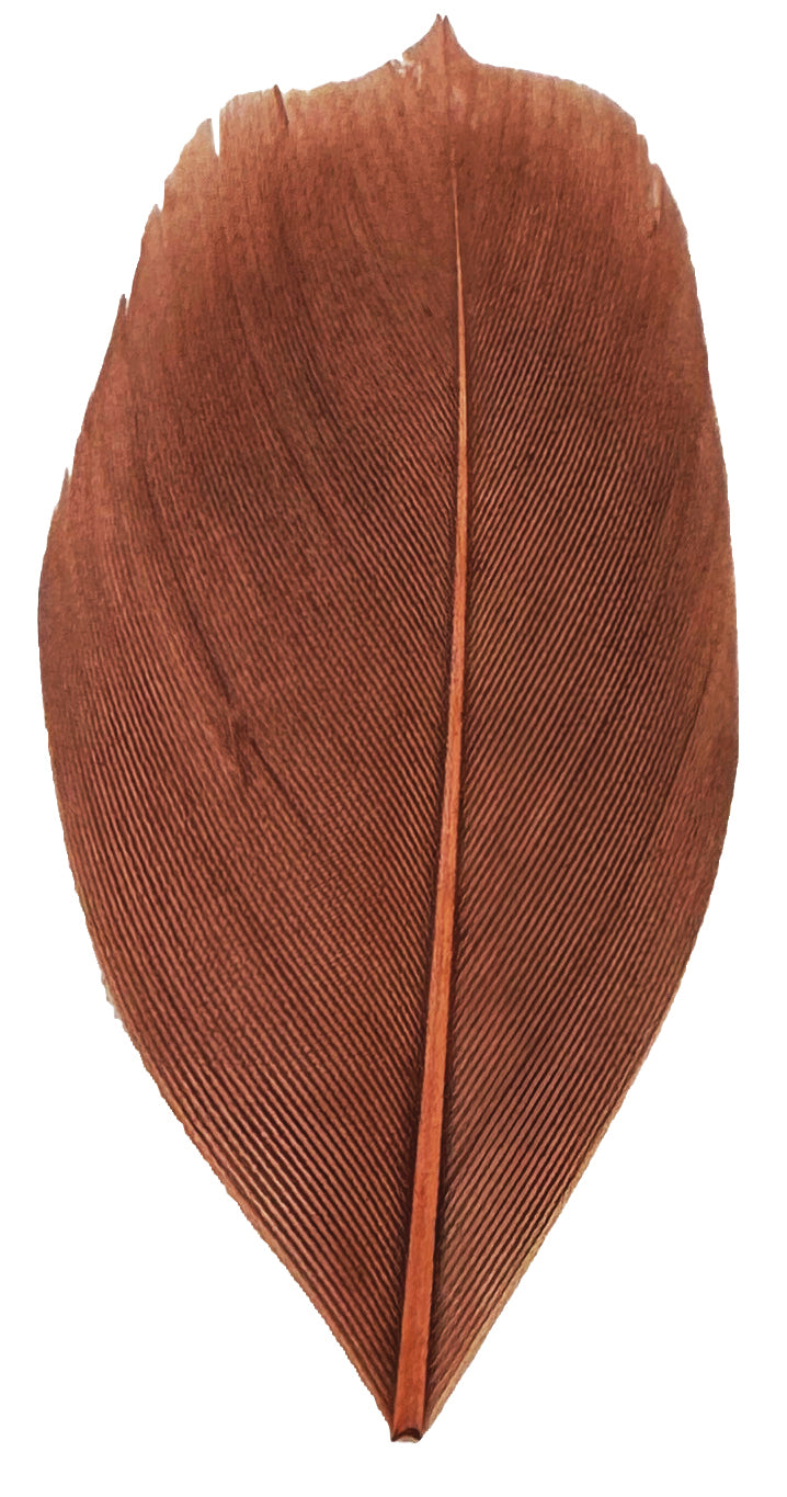 Trimmed Feathers Natural 20g