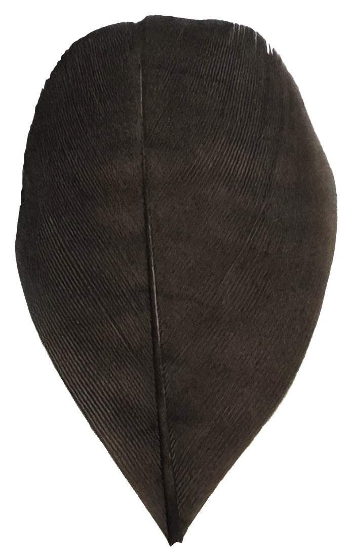 Trimmed Feathers Natural 20g