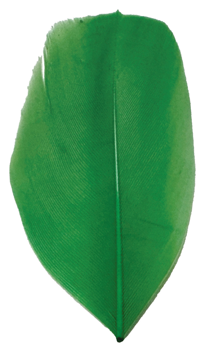 Trimmed Feathers Christmas Mix 30g