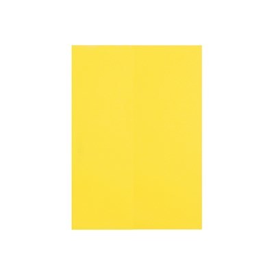Quill Paper A4 80gsm (Pack of 100)