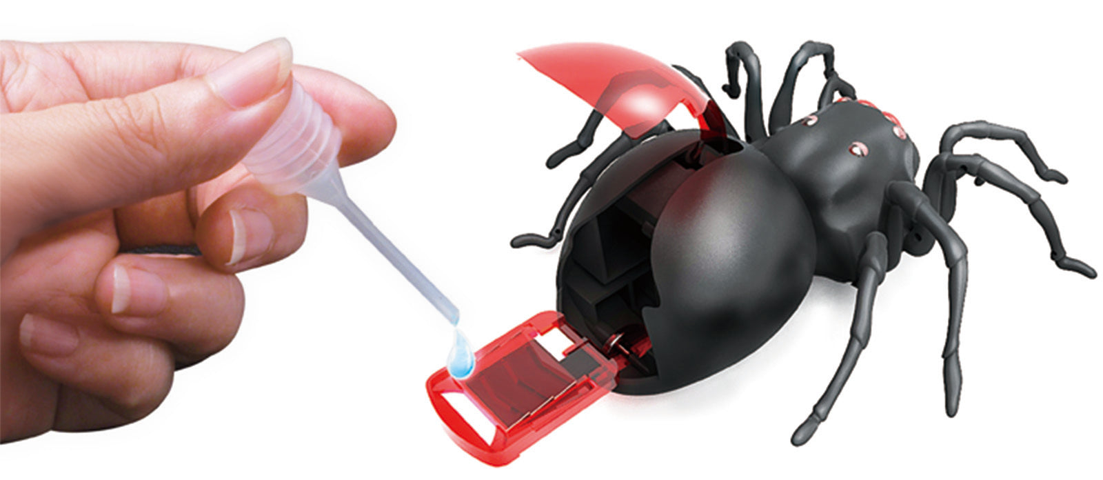 Salt Water Spider Kit
