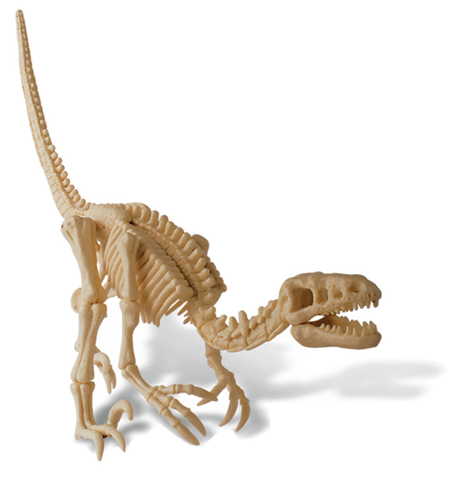 Dinosaur Dig & Excavation Kit - Velociraptor