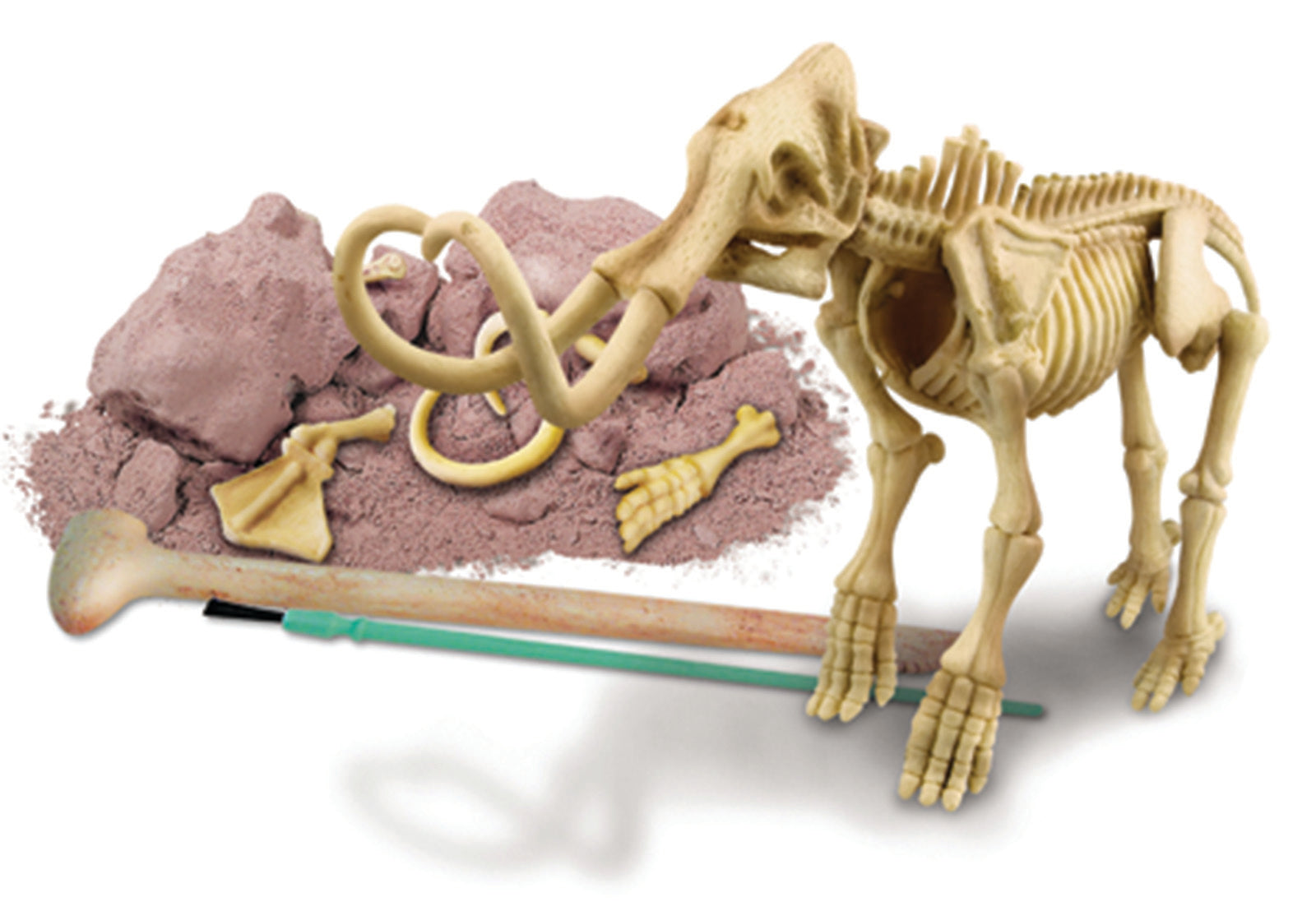Dig a Mammoth Skeleton