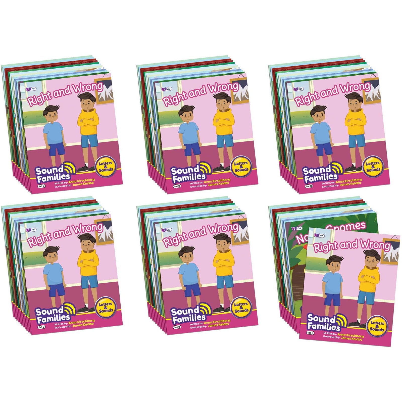 Sound Families Consonants Fiction Phase 5.5 - 6 pack