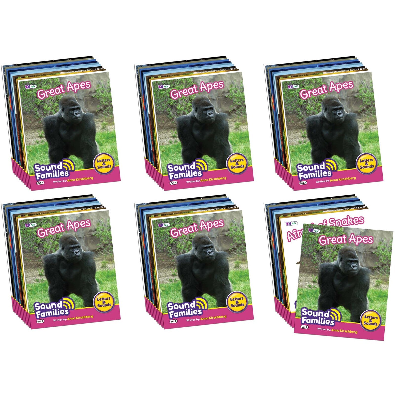 Sound Families Long Vowels Non-Fiction Phase 5.5 - 6 pack