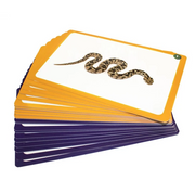 44 Sound Cards