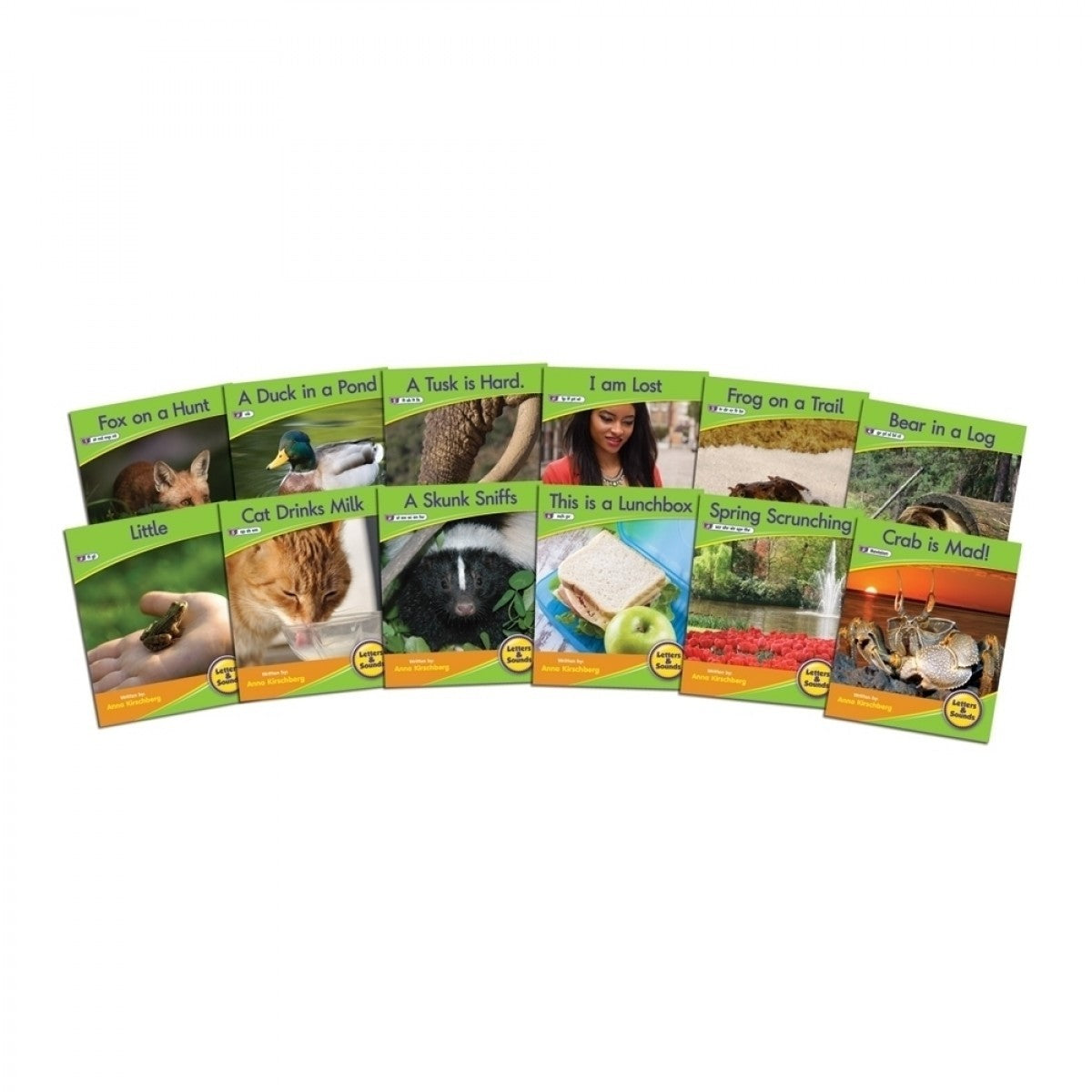 Letters and Sounds (Phase 4) - Decodable Readers (Non-Fiction): Blend