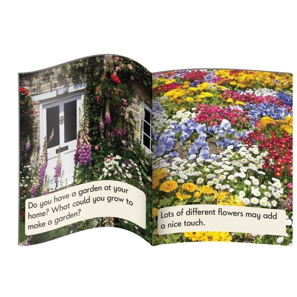 Letters and Sounds (Phase 5) - Decodable Readers (Non-Fiction): Vowel Sound