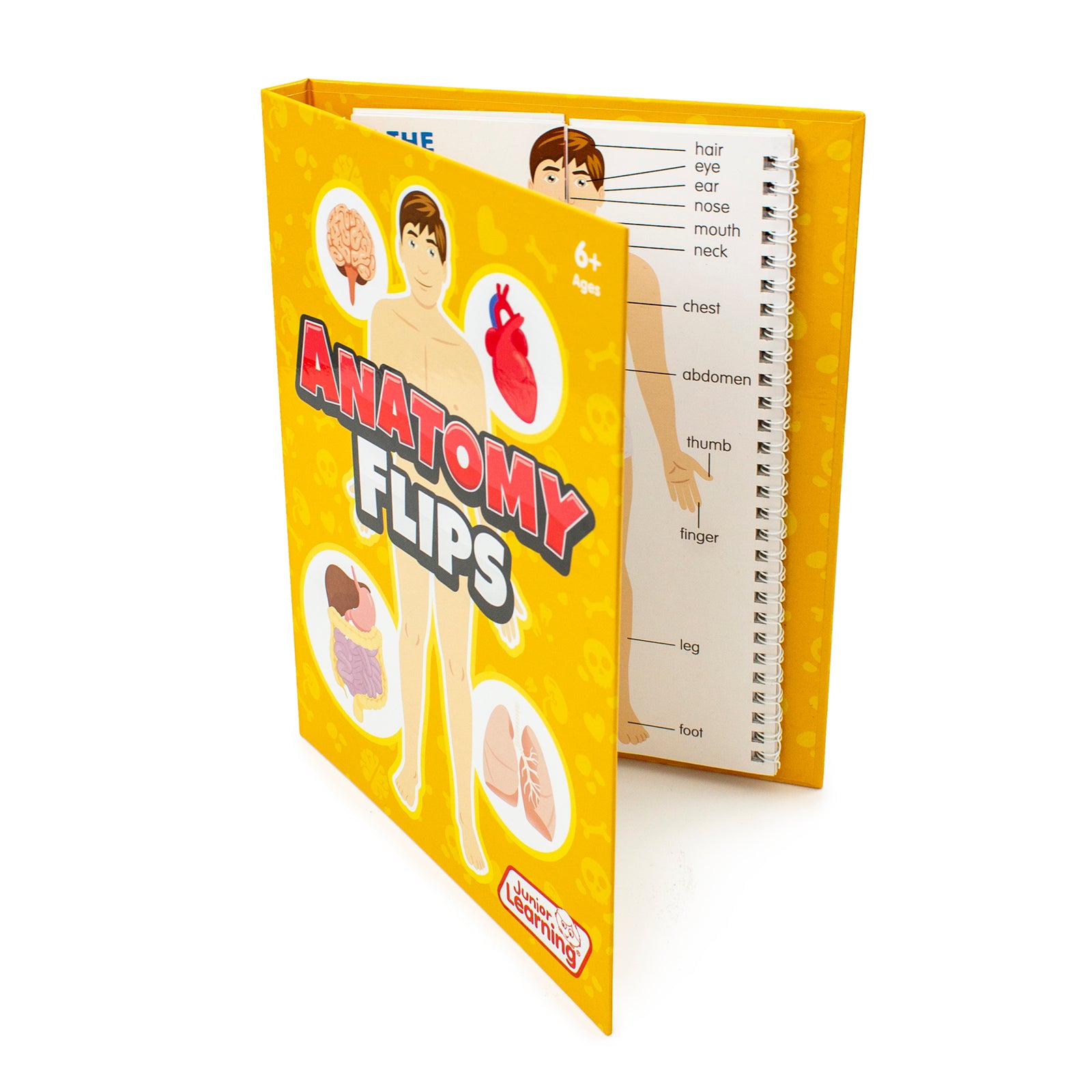 Anatomy Flips