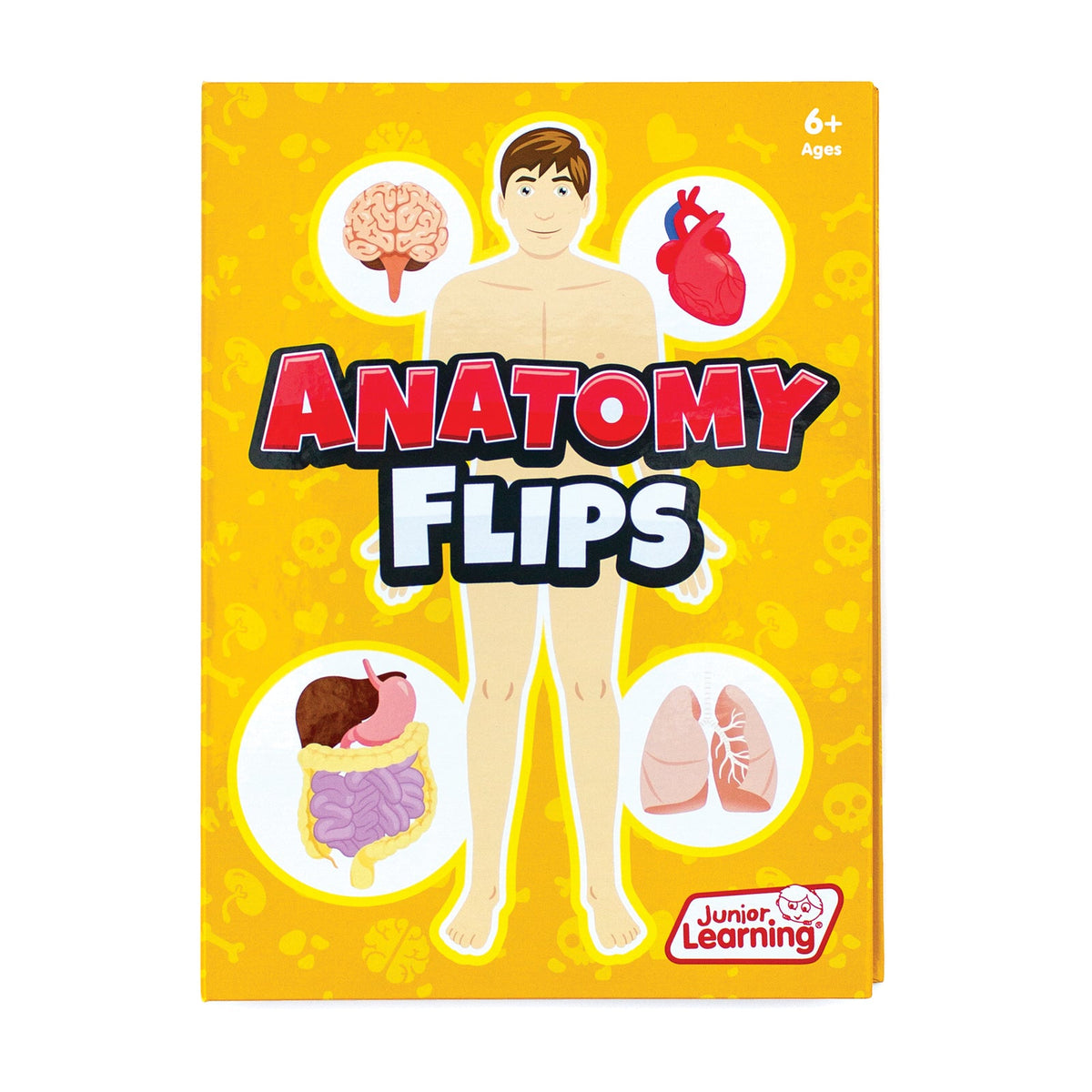 Anatomy