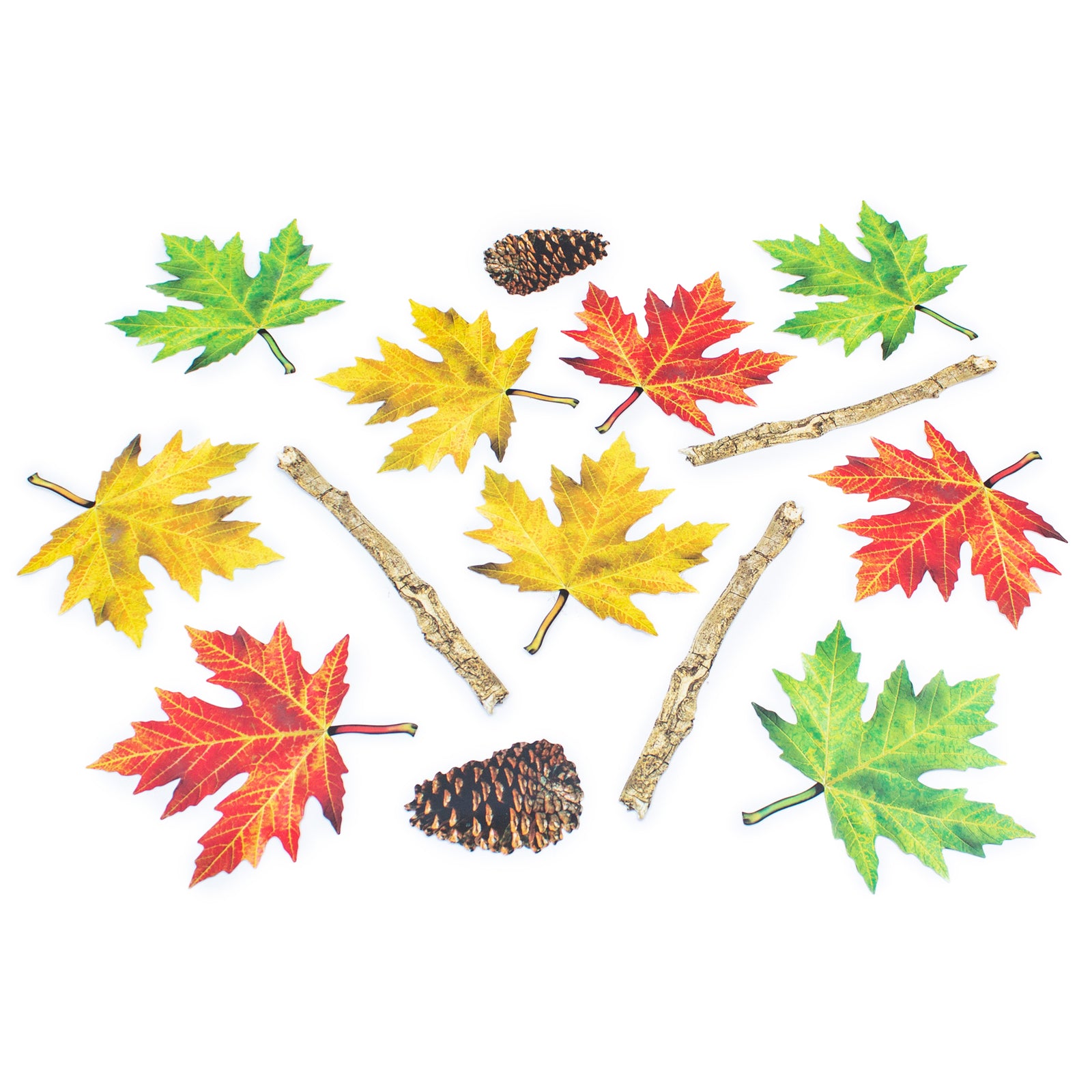Nature Trail Stickers