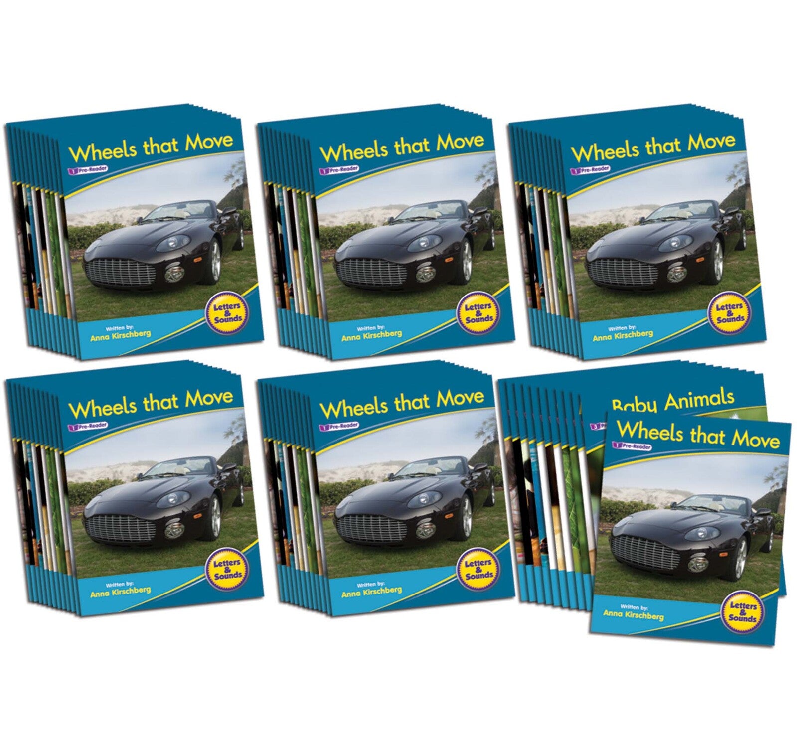 Letters & Sounds Phase 1 Set 1 Non-Fiction - 6 Pack