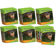 Letters & Sounds Phase 4 Set 1 Non-Fiction - 6 Pack