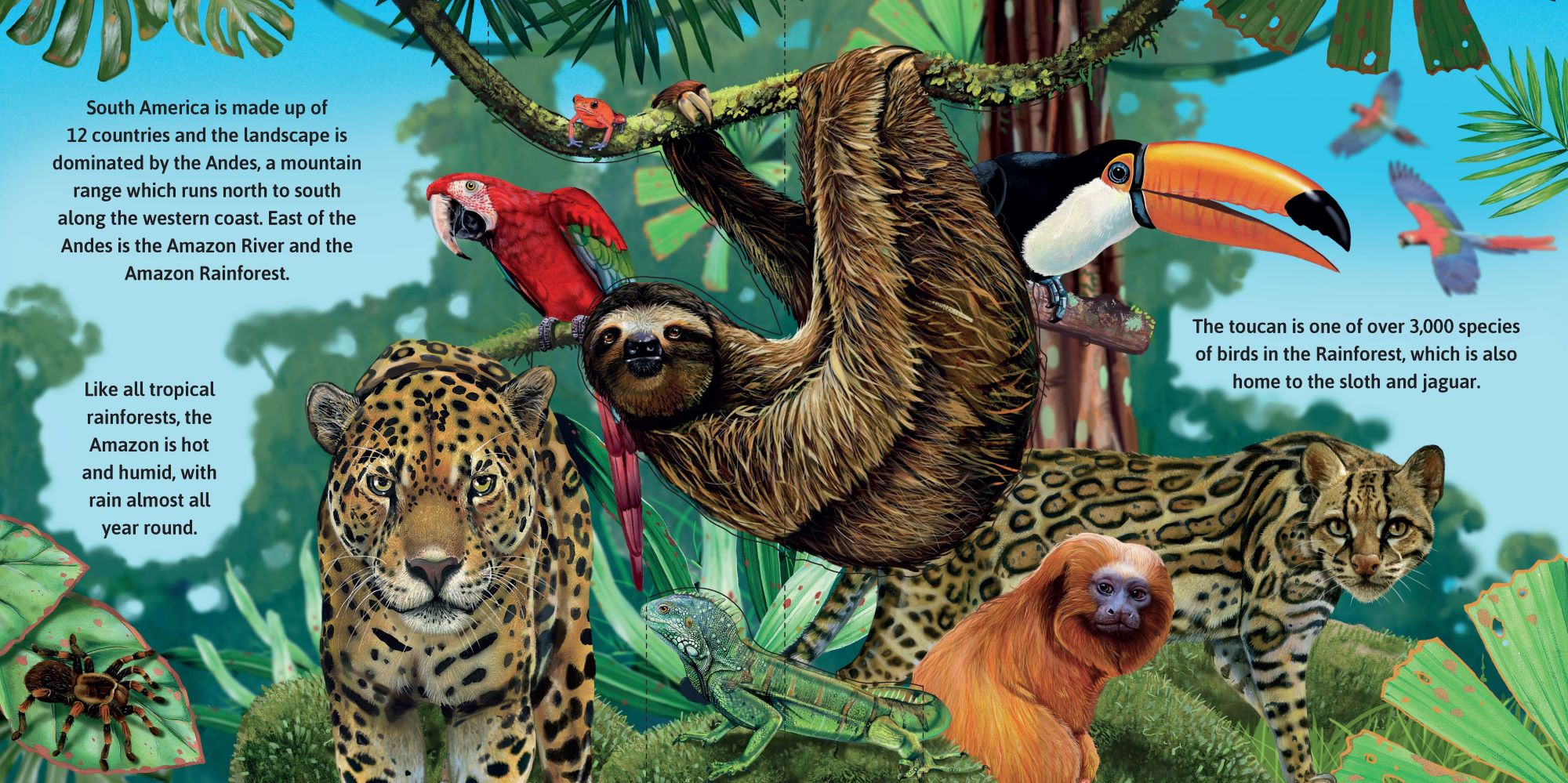 Garry Fleming's Wild Animals - Pop-Up Book — inside page 1