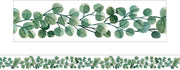 Eucalyptus - Large Border (Pack of 12)