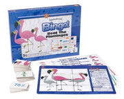 Beat The Flamingo - Equivalence Bingo!