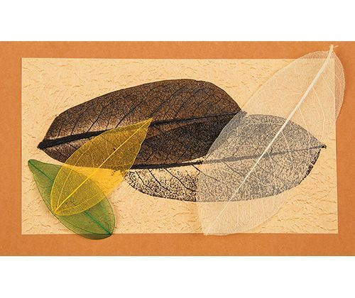 Skeleton Leaves - Natural (Pack of 100) - CLEARANCE