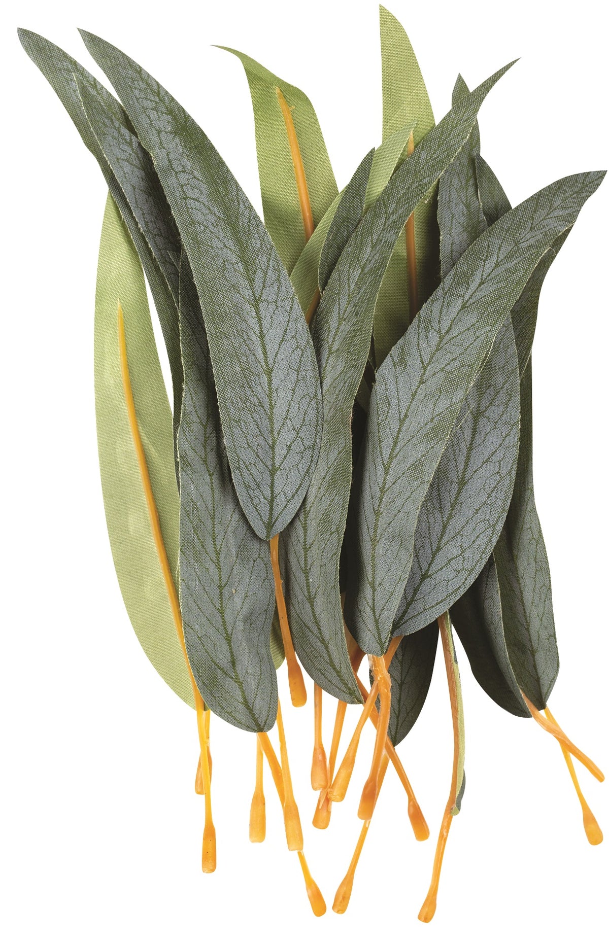 Gum Leaves Pack of 50