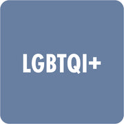 Library Stickers - LGBTQI+ (Pack of 324)