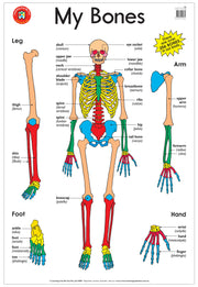 My Bones Poster