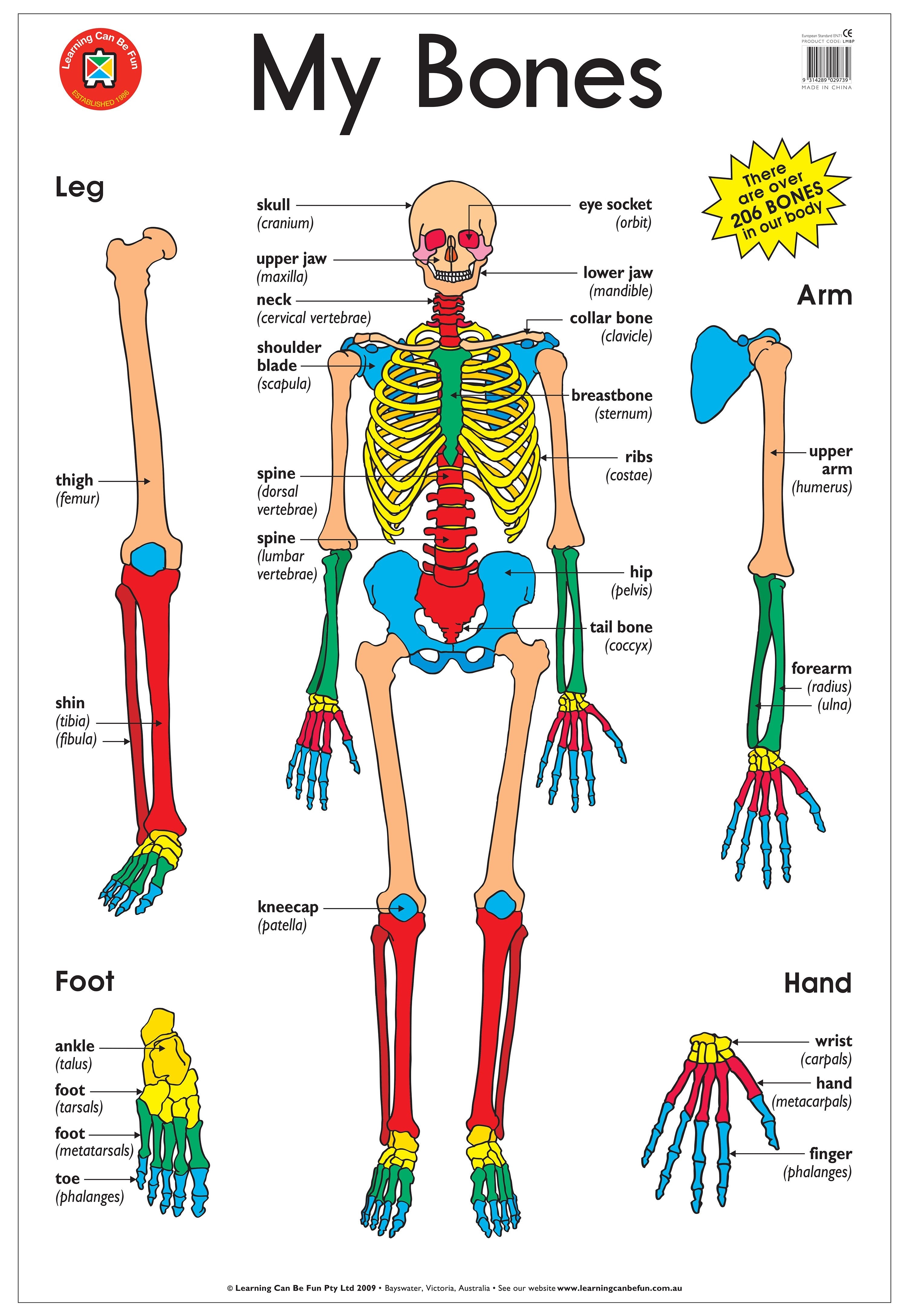 My Bones Poster