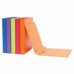 Summer Colour Binders 2D Ring - 25mm (Purple)