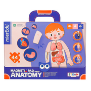 mierEdu Magnetic Pad - Human Anatomy