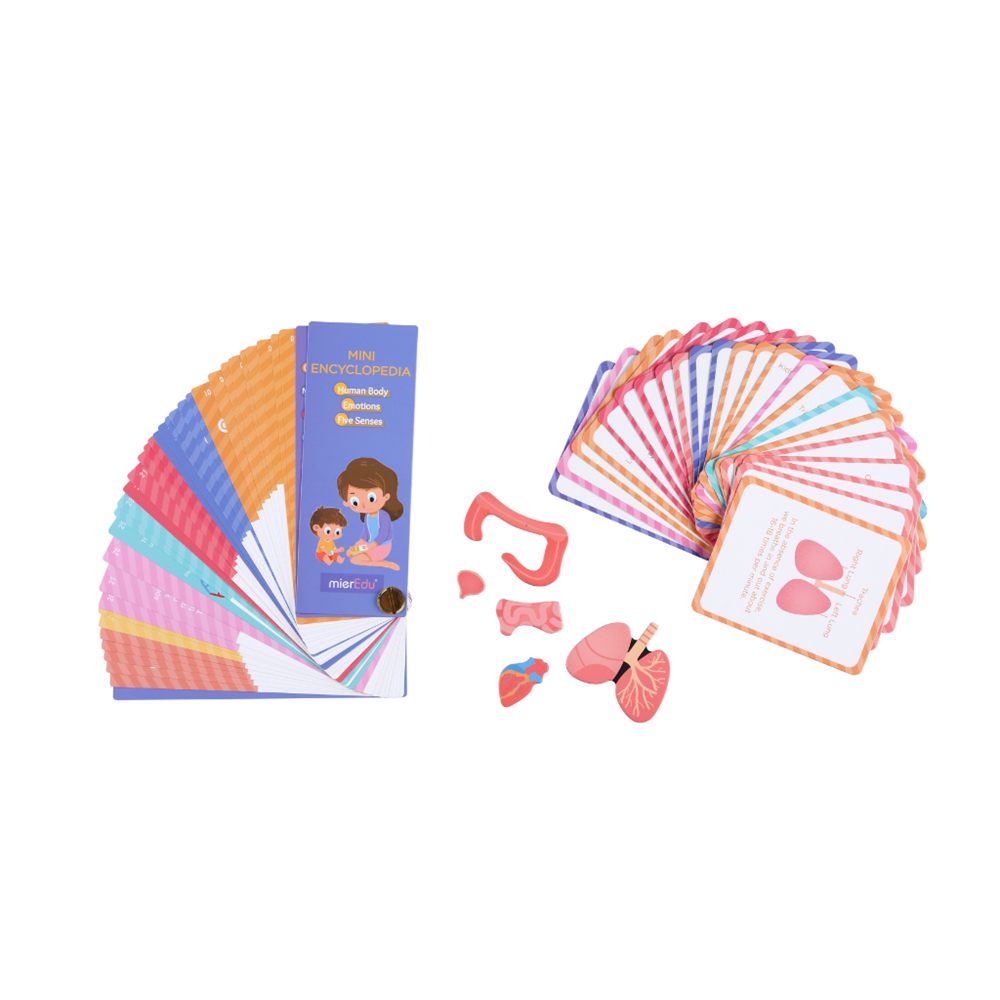 mierEdu Magnetic Puzzle - All About - Body + Emotion - view 2