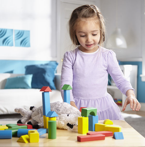 Wood Block Set (100 Pieces)