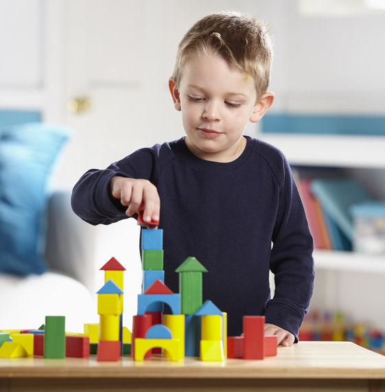 Wood Block Set (100 Pieces)