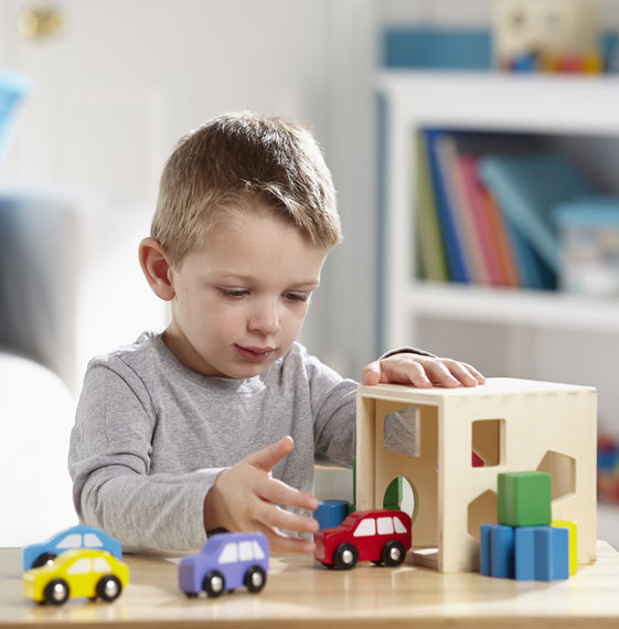 Shape Sorting Cube