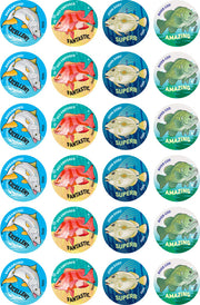 Australian Fish Merit Stickers