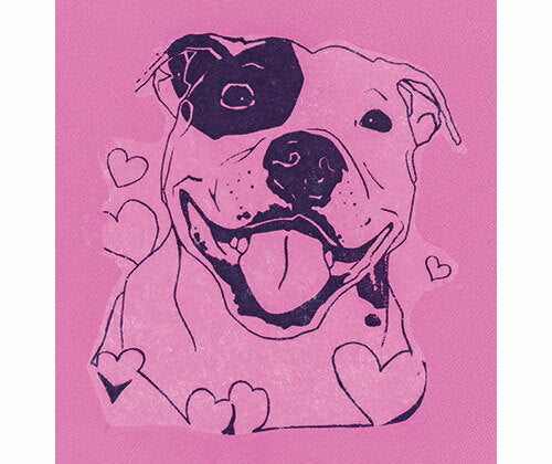 Vinyl (A4) - Assorted: Pack of 10