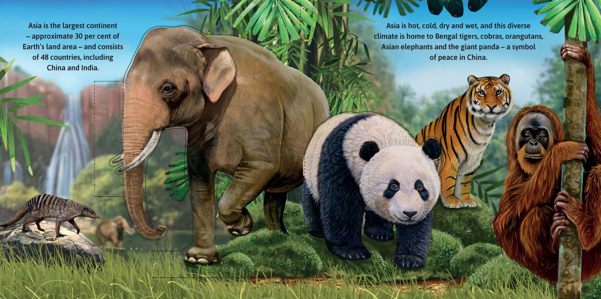 Garry Fleming's Wild Animals - Pop-Up Book — inside page 2
