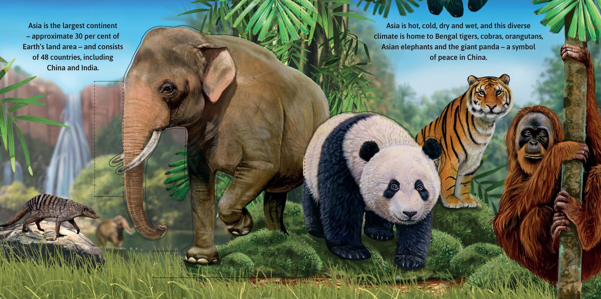 Garry Fleming's Wild Animals - Pop-Up Book — inside page 2