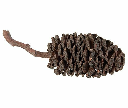 Bud Cones (220g)