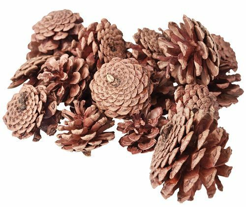 Pine Cones (200g)