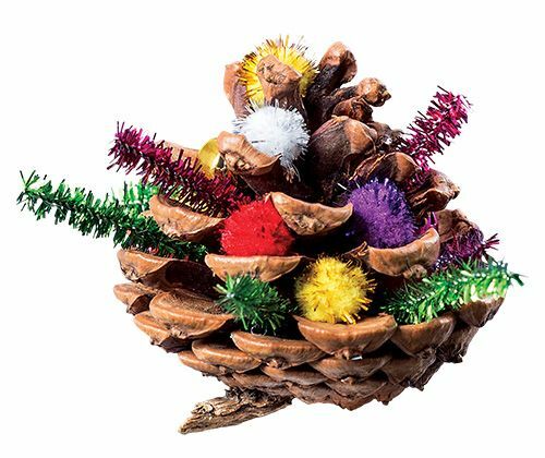 Pine Cones (200g)