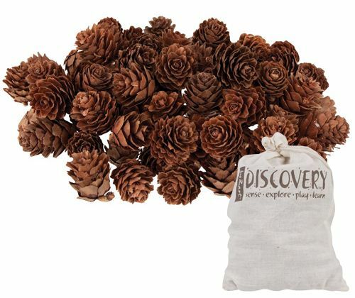 Pine Cones - Mini (190g)