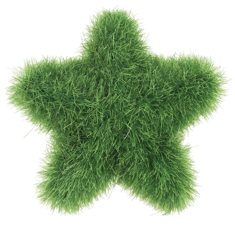 Textured Poly Stars - Hairy (Pack of 5)