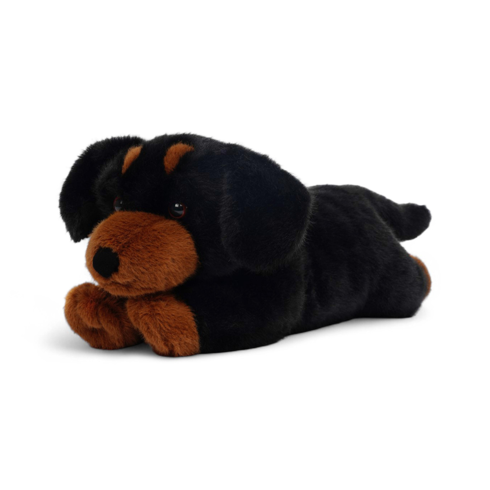 One Love Pumpkin Dachshund