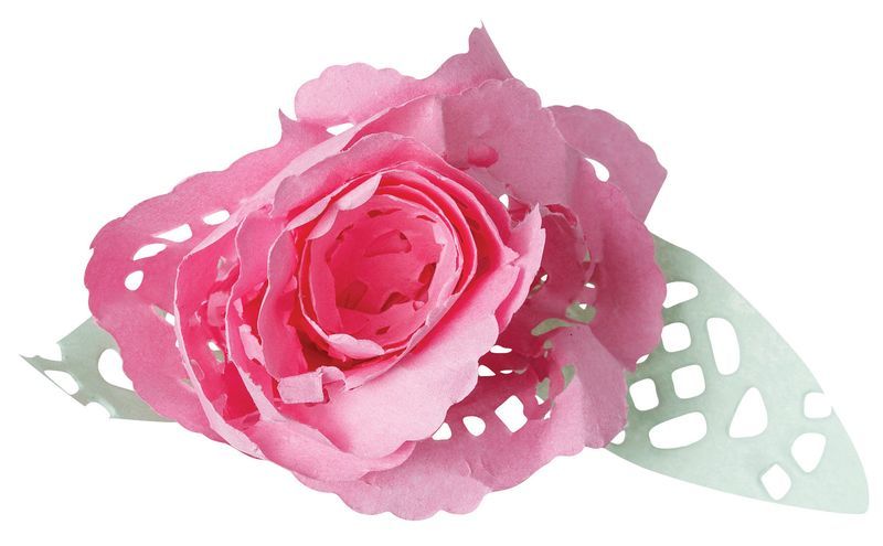 Doyleys Coloured (16.5cm) - Pack of 100