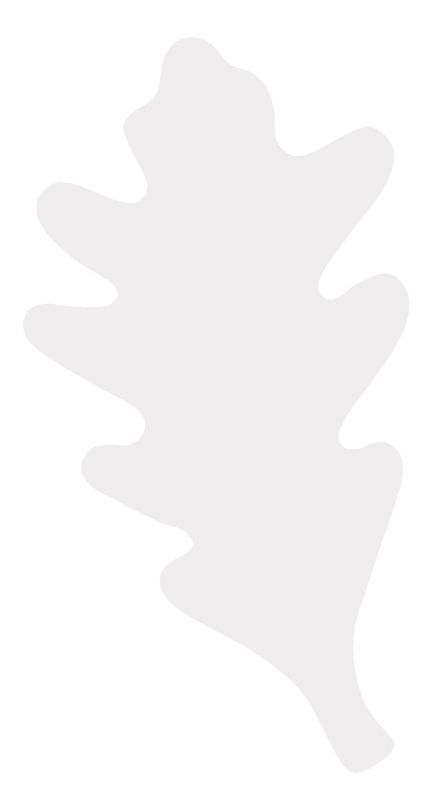 Colour Diffusing Leaves - Pack of 80