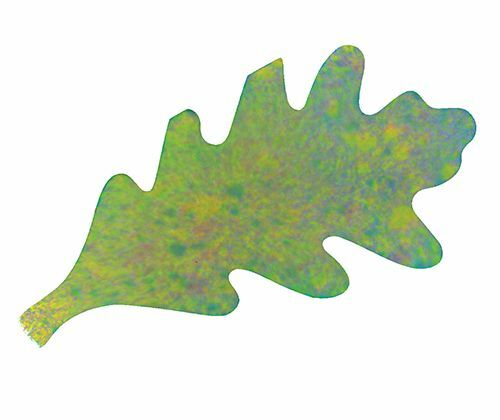 Colour Diffusing Leaves - Pack of 80
