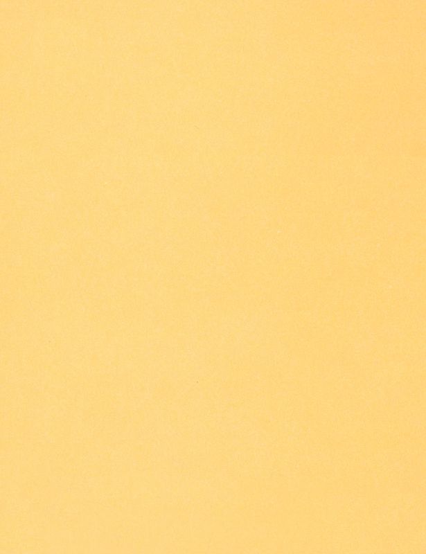 Skin Tone Craft Paper - Pack of 48