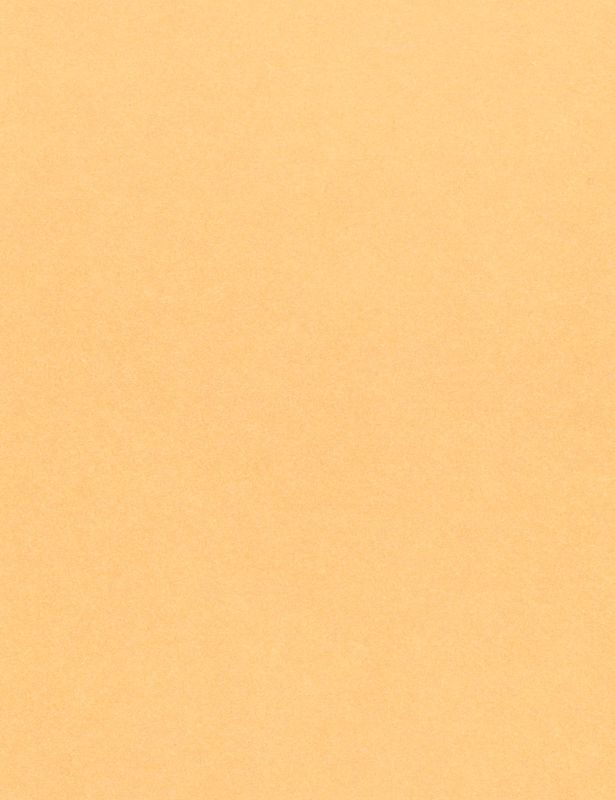 Skin Tone Craft Paper - Pack of 48